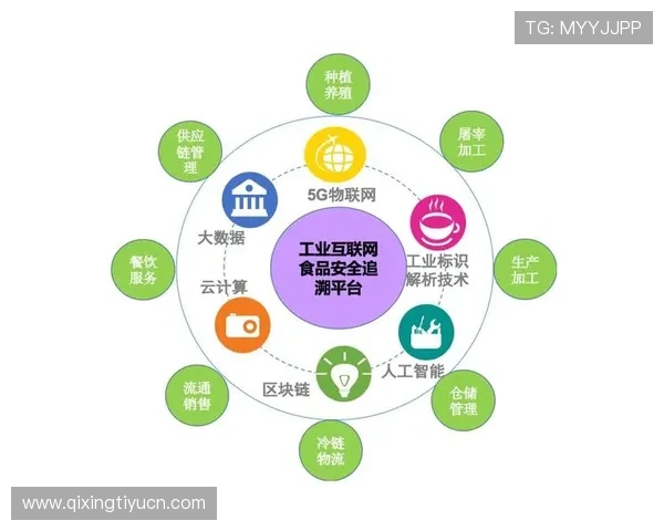 宝赢体育网页版登录安全保障措施全面解析确保用户信息安全和账号稳定登录体验