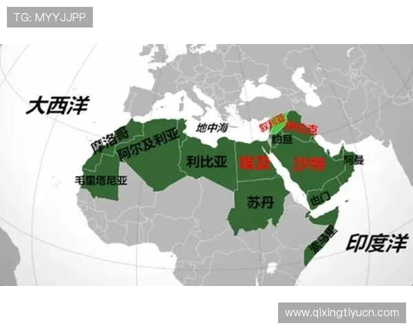 世界杯乌拉圭对沙特比赛场馆的安全措施与观众服务保障详解